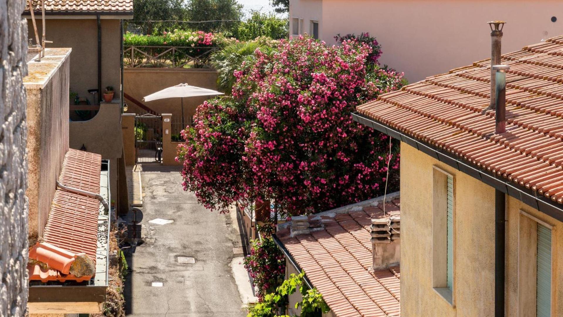Hotel Il Telamonio Talamone Bagian luar foto